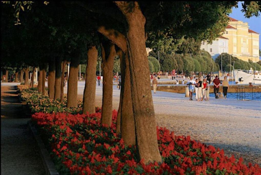 Apartment Santino Zadar Dış mekan fotoğraf